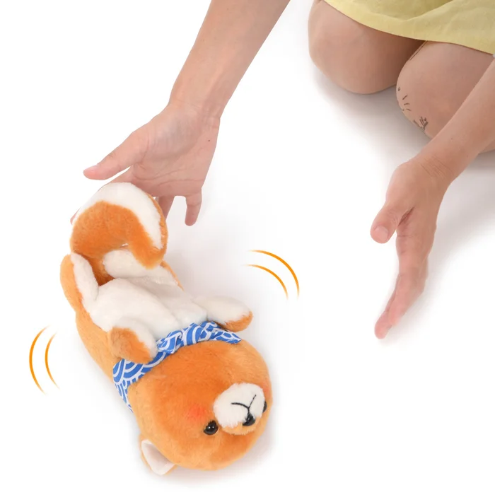 Mameshiba San Kyodai Rolling Pup Toy 14 Mameshiba San Kyodai Rolling Pup Toy - Image 14