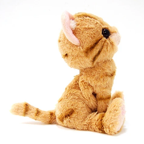 Kitten Plush: American Shorthair 12 Kitten Plush: American Shorthair - Image 12
